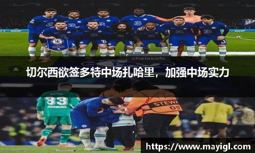 切尔西欲签多特中场扎哈里，加强中场实力